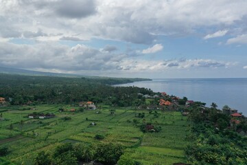 Obraz premium Aerial panoramic view of lush green rice fields in Bali with the ocean visible in the distance under a cloudy sky