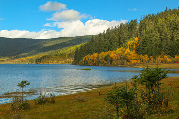 Golden forests surround serene alpine lakes, reflecting clouds Pudacuo National Park, Yunnan, China, Shangri-La, lake
