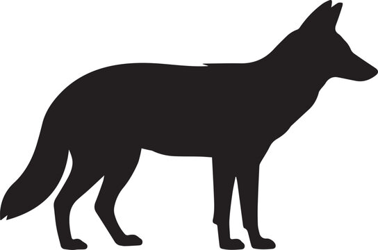 coyote silhouette vector design for wildlife education and nature illustration