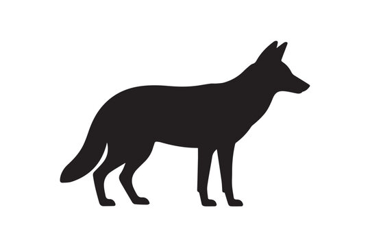 editable coyote silhouette vector template for adobe illustrator ai eps png wildlife presentations