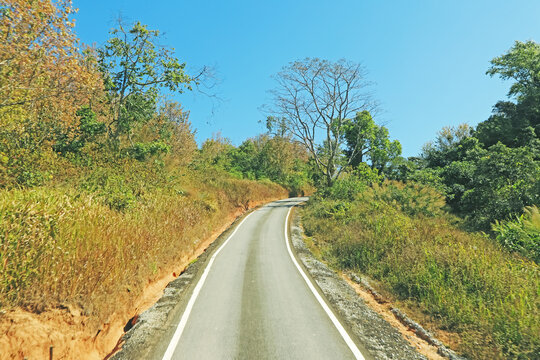 View of nature and flower on the road at Pho lom lo 