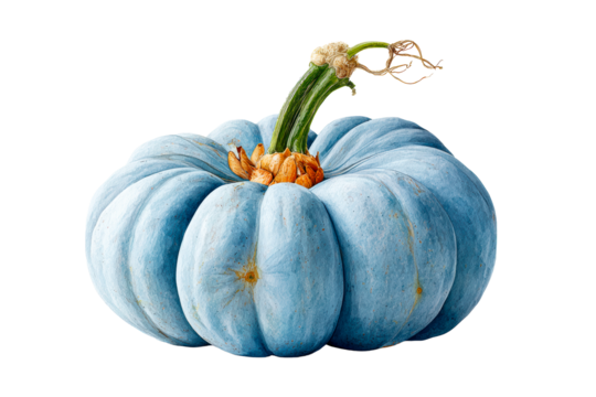 Blue pumpkin displayed on transparent background
