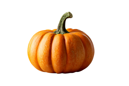Bright orange pumpkin with distinct ribbing detail
