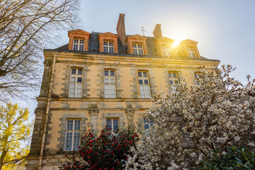 Fototapety na wymiar - Fototapeta24.pl