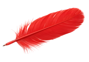 Vibrant Red Feather A CloseUp View of a Single Feather Perfect for Design Projects and Artistic Endeavors on transparent background