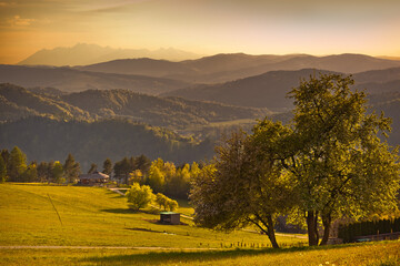 Na Malniku w Muszynie wiosną. © rogozinski