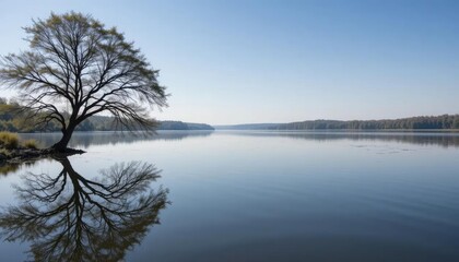 Serene lakeside scene with a lone tree perfectly reflected in calm water at dawn.