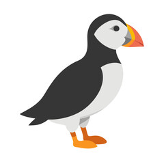 vector illustration of cartoon bird