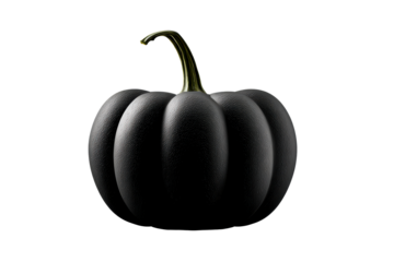 Elegant black pumpkin with unique shape