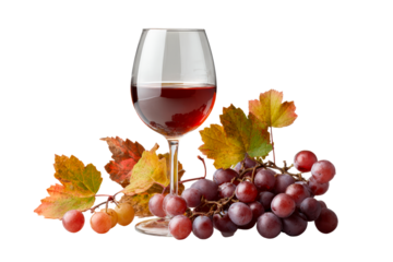 Glass of red wine beside fresh grapes with leaves