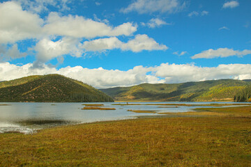 Golden forests surround serene alpine lakes, reflecting clouds Pudacuo National Park, Yunnan, China, Shangri-La, lake