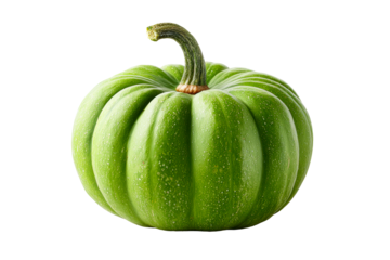 Ridged green pumpkin on clear background