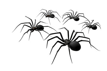 Black spiders crawling on a transparent background