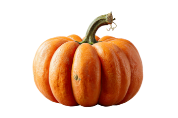 Vibrant orange pumpkin with ridged texture