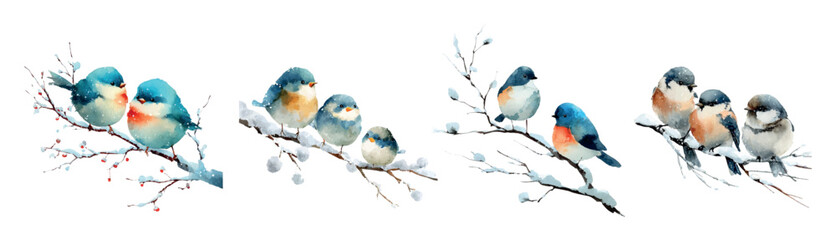 Watercolor set of winter birds sitting on a snowy tree branch. Bullfinches, tits, sparrows and other birds hibernate. Nature elements for winter and Christmas designs. Vector illustration. © Narin