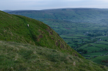 Naklejka premium Early morning in the hills and glens of County Antrim, Northern Ireland
