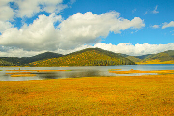 Pudacuo National Park, Yunnan, China, Shangri-La, lake Golden forests surround serene alpine lakes, reflecting clouds.