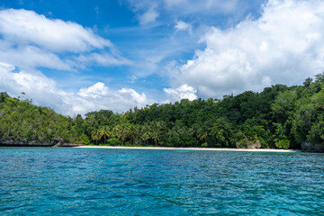 Fototapeta premium Paradise beach and island, Togian Islands, Sulawesi, Indonesia