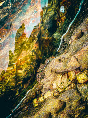 A vintage-style nature scene with soft tones, nostalgic atmosphere, and timeless beauty of the outdoors.