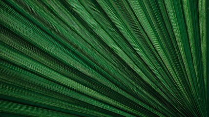Obraz premium Radiant green palm leaf with vivid veins. AI generated