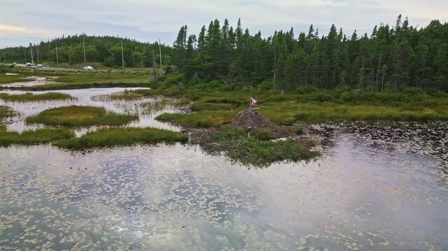 A drone glides over a tranquil freshwater pond near Brigus South capturing reflections of the surrounding forest and hills with lush greenery under a soft sky.