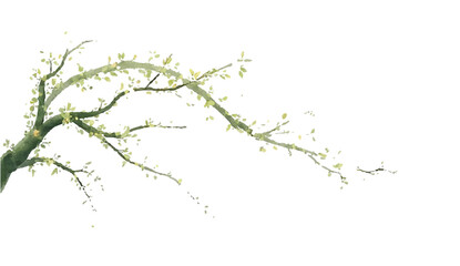 Branch of cherry tree with pink blossoms in spring nature illustration