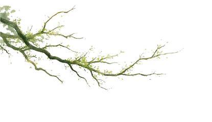 Branch of cherry tree with pink blossoms in spring nature illustration