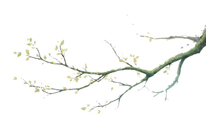 Branch of cherry tree with pink blossoms in spring nature illustration