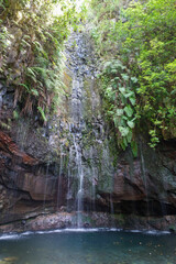 Levada hiking in the tropical vegetation of Madeira, Portugal, Europe