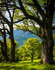 Lush forest scene with sunlight filtering through trees
