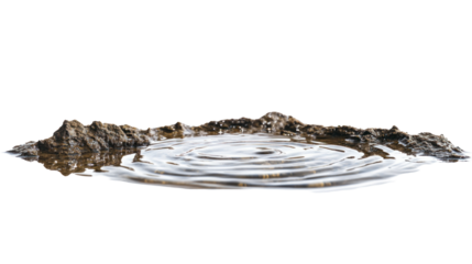 a puddle of water with ripples on the surface isolated on white or transparent background