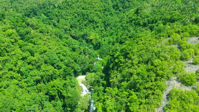 Aerial view of a dense tropical forest with a winding river and small village structures, Kawasan Falls, Cebu, Philippines.