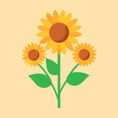 Sunflower vector illustration on white background with single bright flower and green leaves