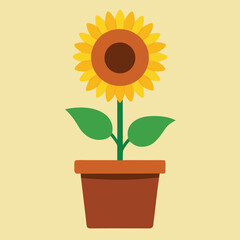 Sunflower in a pot on white background vector illustration