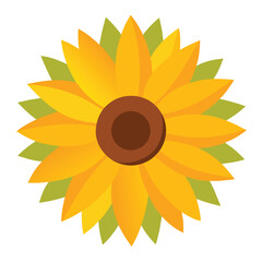 sunflower vector illustration