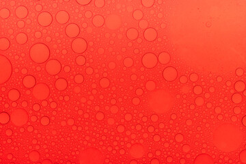 Macro microscope Red bubble texture, Close-up Green bubbles and drops oil background . blue green water bubbles, close up Red oil drop for cosmetic