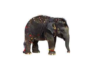 Obraz premium Cute elephant illustration icon on white background