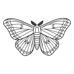 Butterfly silhouette in vector, svg, png.