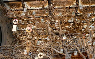 a rustic, ceiling installation featuring a large, leafless tree with intricate, twisting branches. Hanging from the branches are various lanterns and circular ornaments in pastel colors