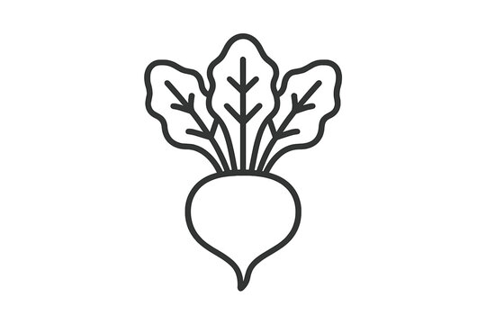 Clean vector illustration of a beet with green leaves