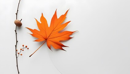 minimal Autumn composition with orange maple leaf, Acorn, and branch on white background