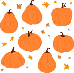 Pumpkin collection. Autumn season produce. Happy Thanksgiving day with orange pumpkin decoration objects. Trick or treat Halloween party celebration for kids. Vector illustration