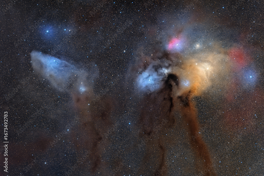 Canvas Prints rho cloud complex an deep sky object