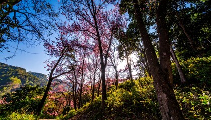 Lush forest with vibrant pink blossoms