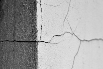 Wall Crack: A stark monochrome image showcases the intricate network of a wall crack, the imperfections revealing a tale of time and structural changes. 
