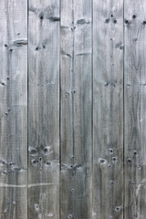 Natural wood panels form a visually appealing backdrop, highlighting varying shades and textures, creating a serene atmosphere.