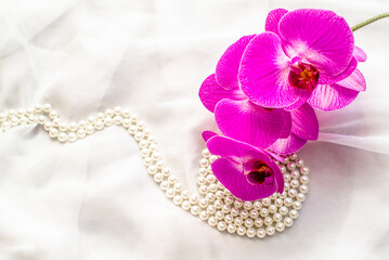 The branch of purple orchids on white fabric background
