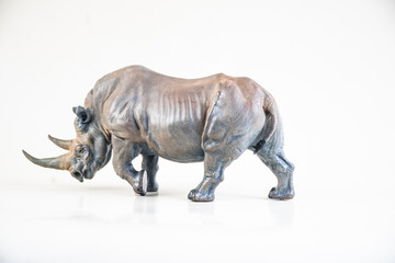 Fototapeta premium black rhino on isolated background