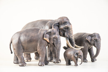 Obraz premium asian elephant on isolated background