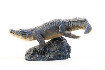 Obraz premium Nile crocodile animal on isolated background